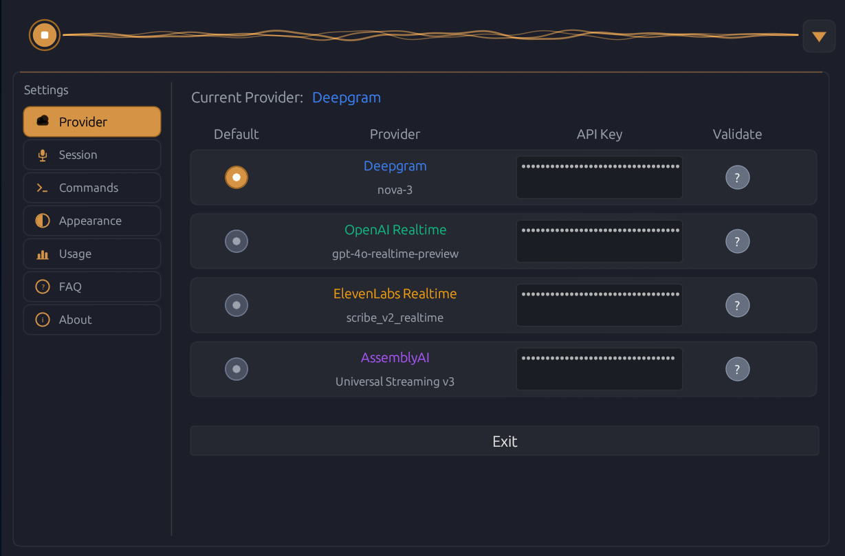 Provider settings showing Deepgram, OpenAI, ElevenLabs, and AssemblyAI configuration